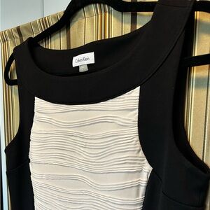 NWT Sleeveless dress